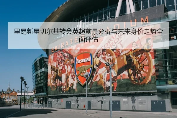 里昂新星切尔基转会英超前景分析与未来身价走势全面评估