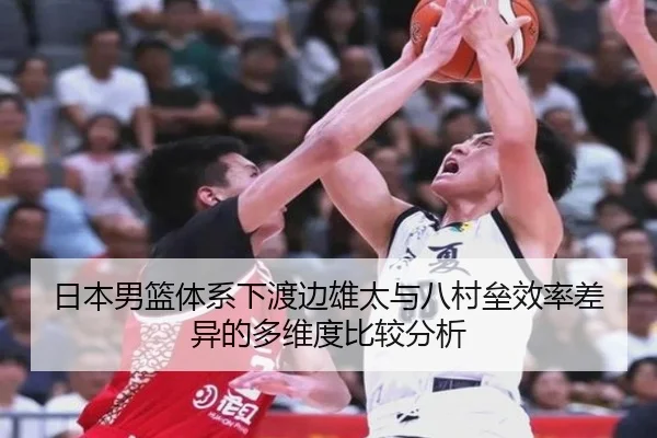 日本男篮体系下渡边雄太与八村垒效率差异的多维度比较分析